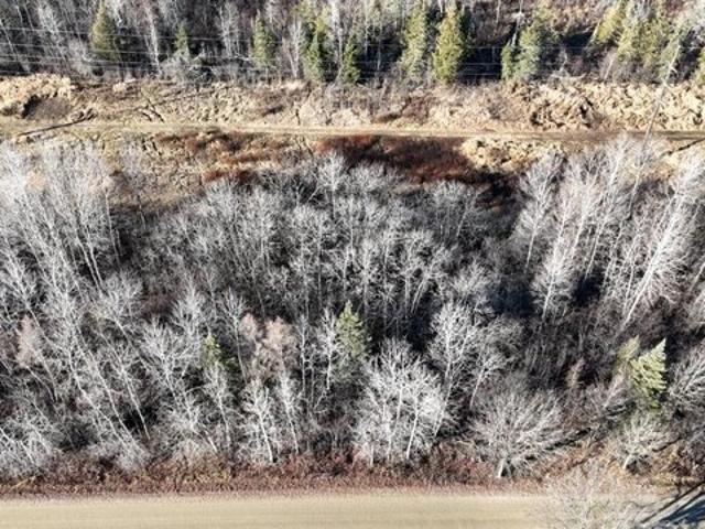 Land for sale in Deer River, Minnesota