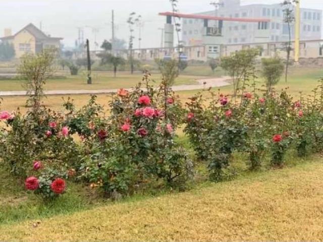 Land for sale in Rawalpindi, Islamabad Capital Territory