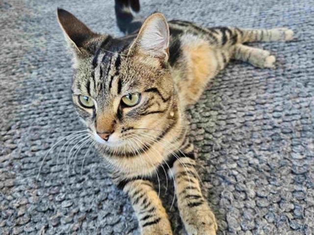 House for rent in Paraparaumu, Wellington