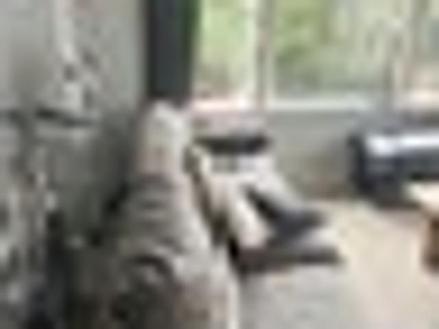 House for rent in Paraparaumu, Wellington