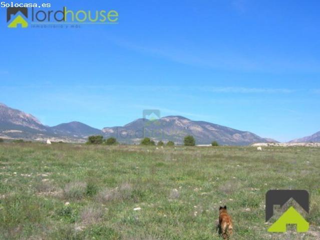 Local Comercial en venta en Torrealvilla, Alto Guadalentín