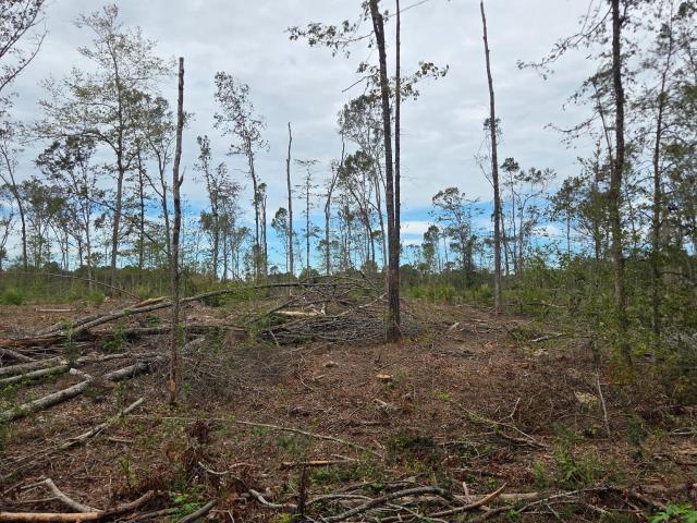 Land for sale in Bauxite, Saline County