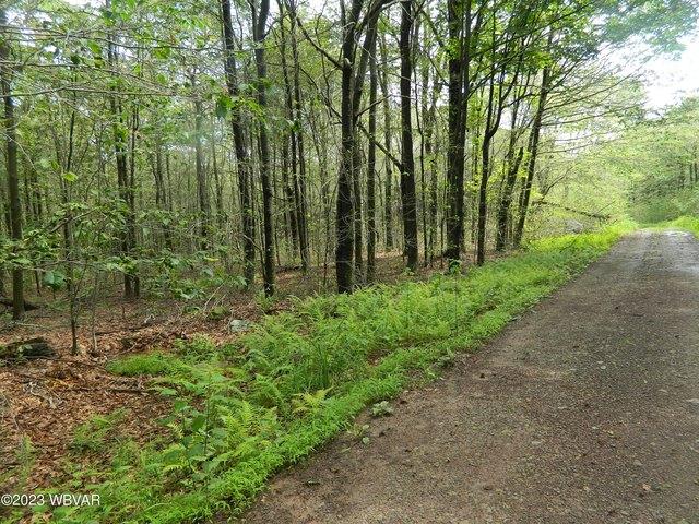 Land for sale in Sullivan, Pennsylvania