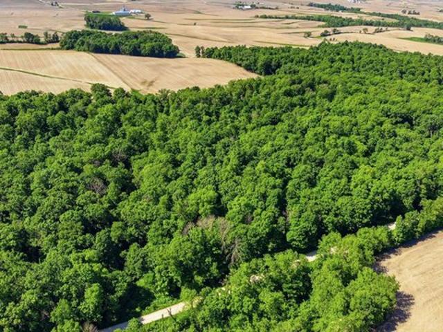 Land for sale in Colesburg, Iowa