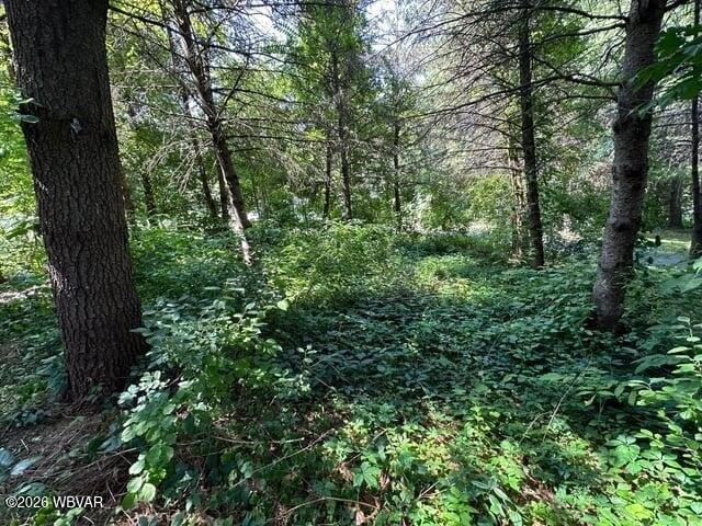 Land for sale in Sullivan, Pennsylvania