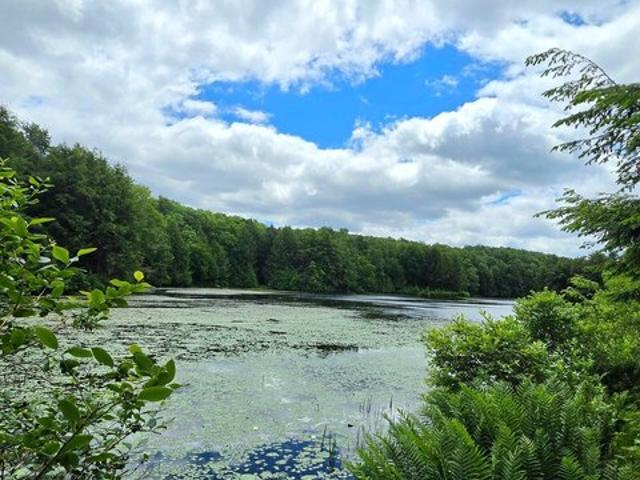 Land for sale in Sullivan, Pennsylvania