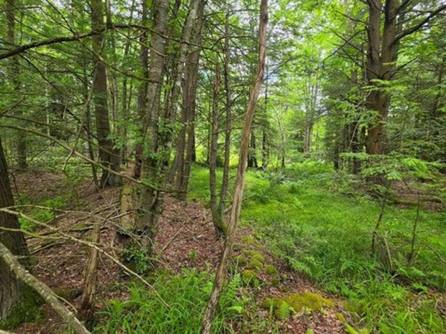 Land for sale in Sullivan, Pennsylvania