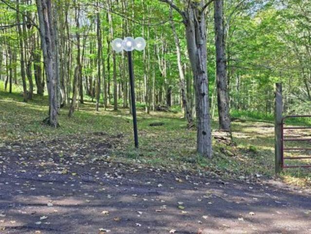 Land for sale in Accident, Garrett County