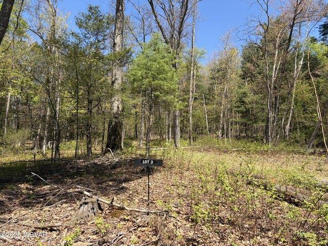 Land for sale in Lycoming, Pennsylvania
