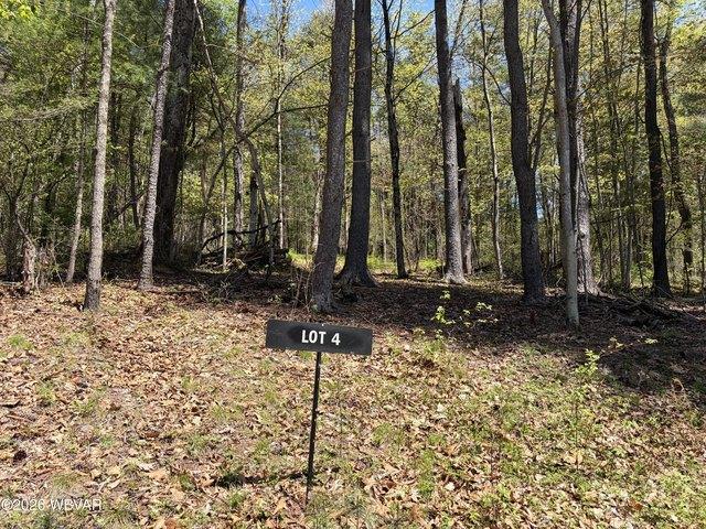 Land for sale in Lycoming, Pennsylvania