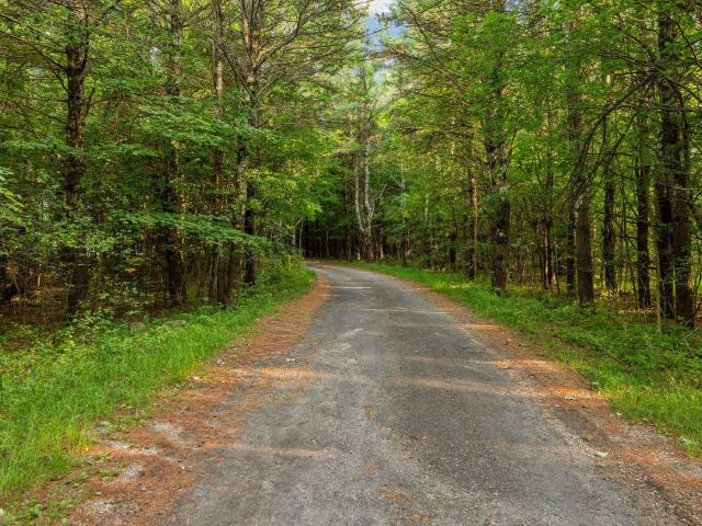 Land for sale in Michigan