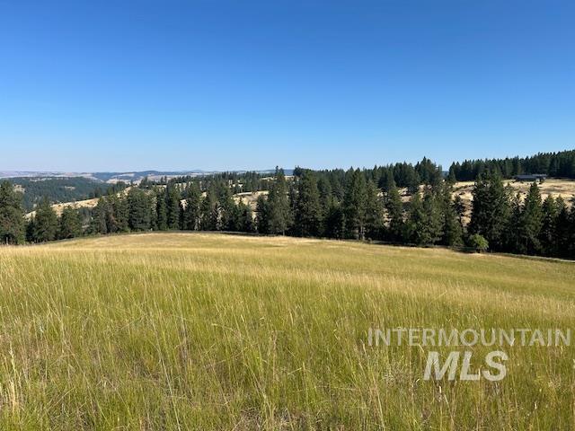 Land for sale in Kooskia, Idaho