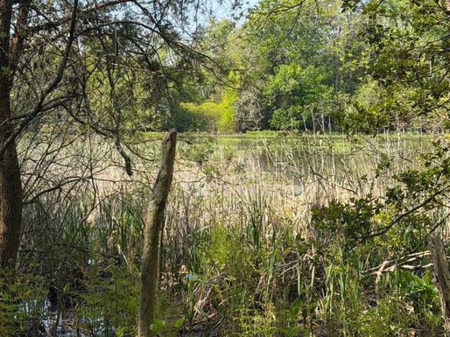 Land for sale in Preston, Maryland