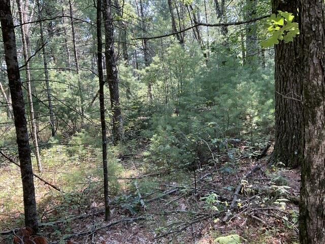 Land for sale in Wisconsin