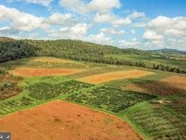 Farm for sale in Bendersville, Pennsylvania