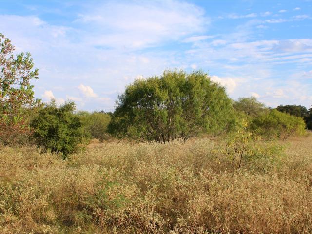 Land for sale in Columbus, Texas
