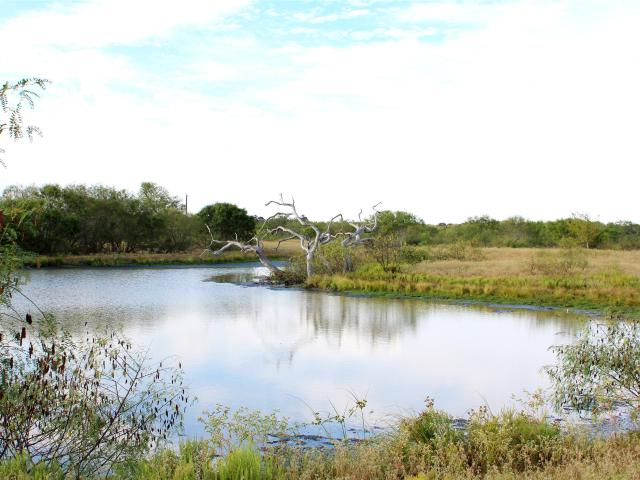 Land for sale in Columbus, Colorado County