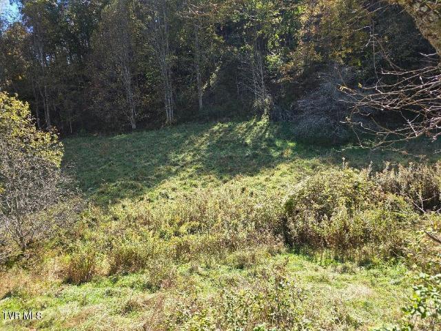 Land for sale in Trade, East Tennessee