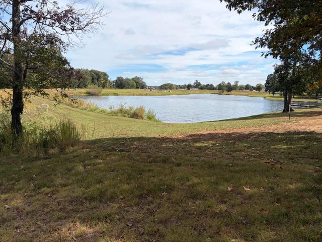 Land for sale in Benton, Marshall County