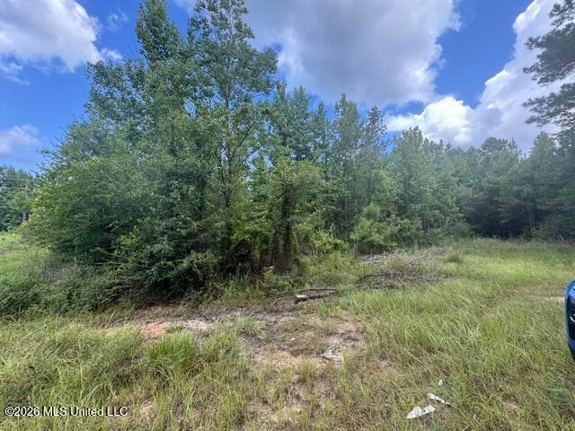Land for sale in Crosby, Mississippi