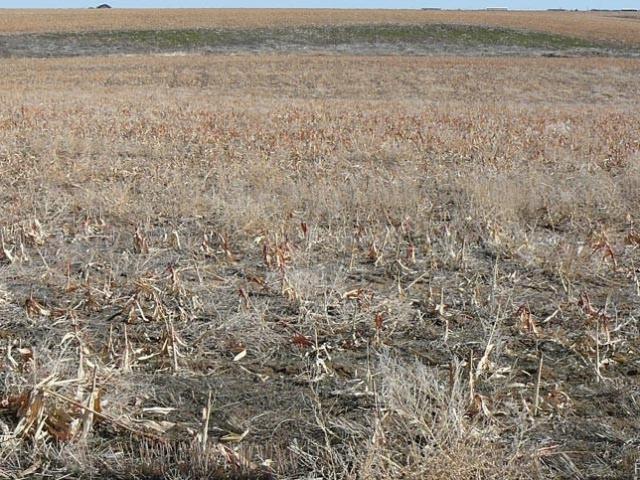 Land for sale in Bennett