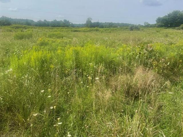 Land for sale in Almont