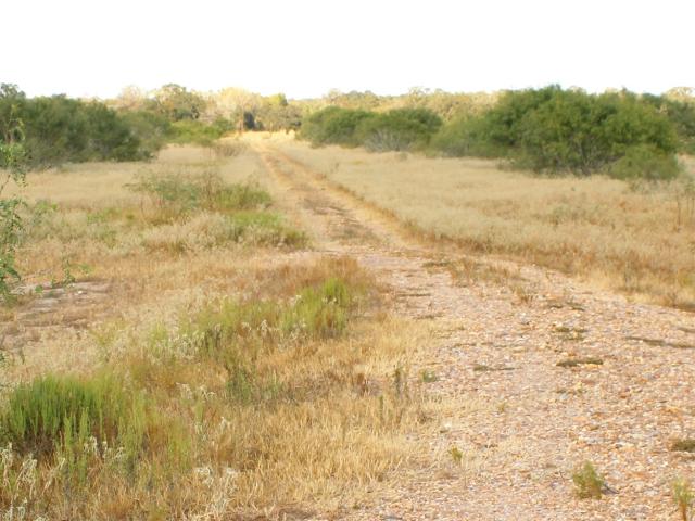 Land for sale in Columbus, Colorado County