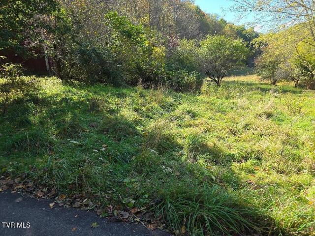 Land for sale in Trade, East Tennessee