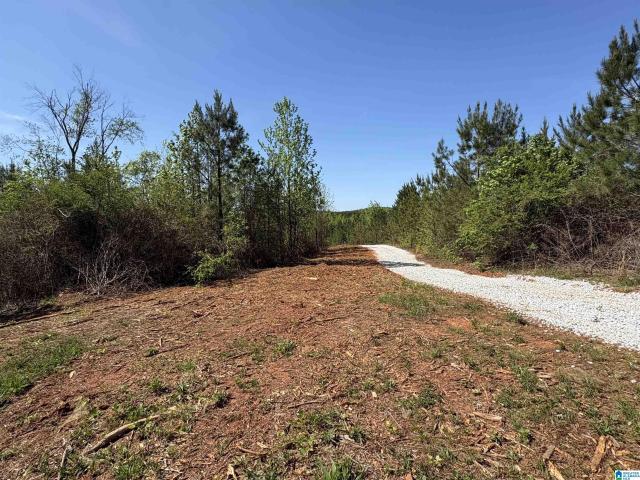 Land for sale in Wedowee, Alabama
