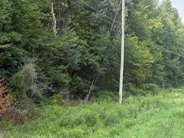 Land for sale in Barclay, Maryland