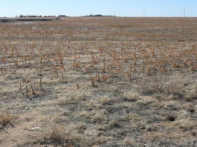 Land for sale in Bennett