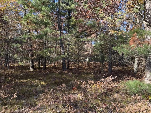Land for sale in Michigan