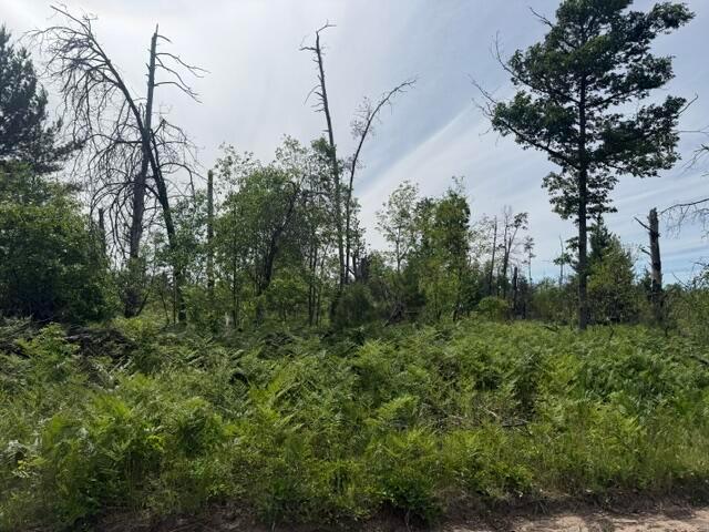 Land for sale in Michigan