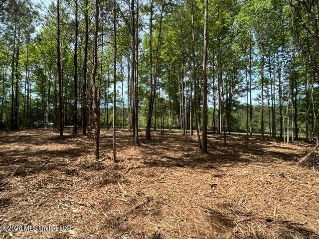 Land for sale in Mississippi