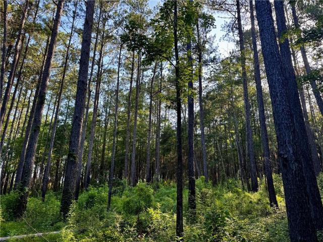 Land for sale in Bogalusa, Louisiana
