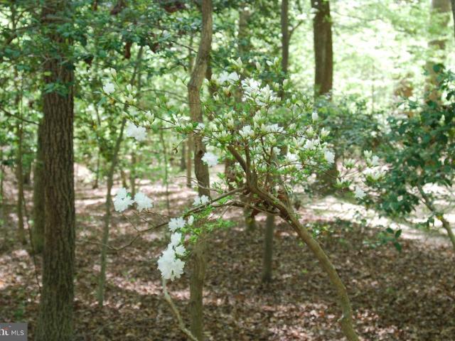 Land for sale in Accokeek, Maryland