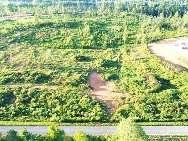 Land for sale in Alabama