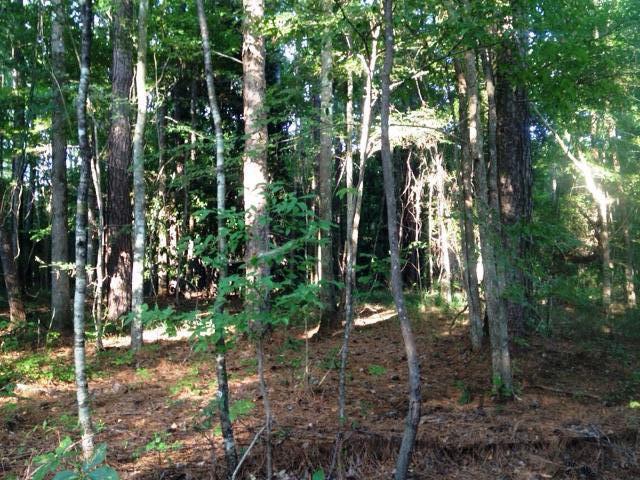 House for sale in Bude, Mississippi