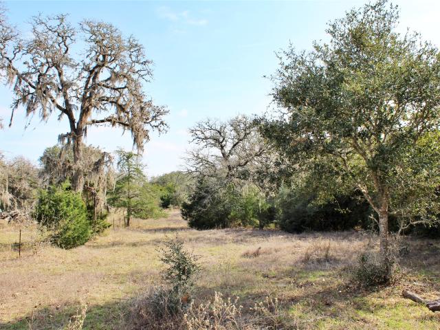 Land for sale in Columbus, Texas