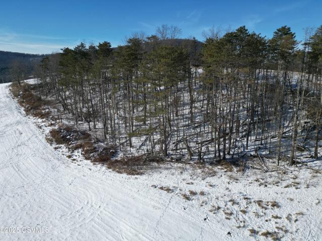 Land for sale in Lycoming, Pennsylvania