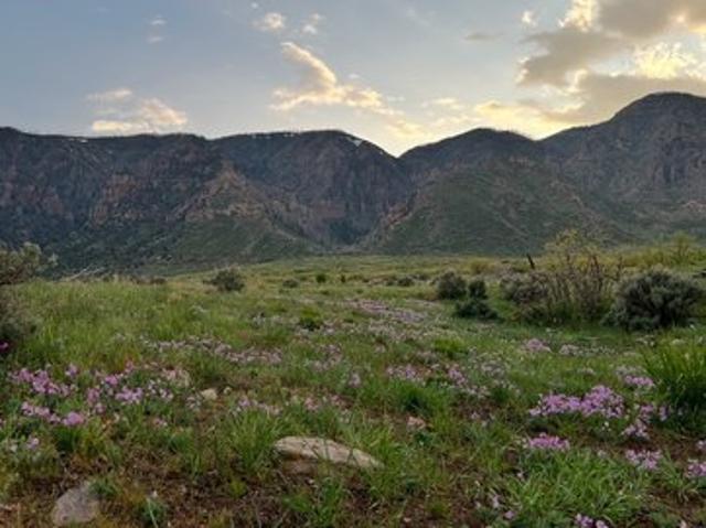 Land for sale in Scipio, Utah