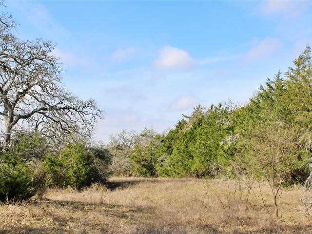 Land for sale in Columbus, Texas