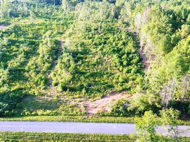 Land for sale in Alabama