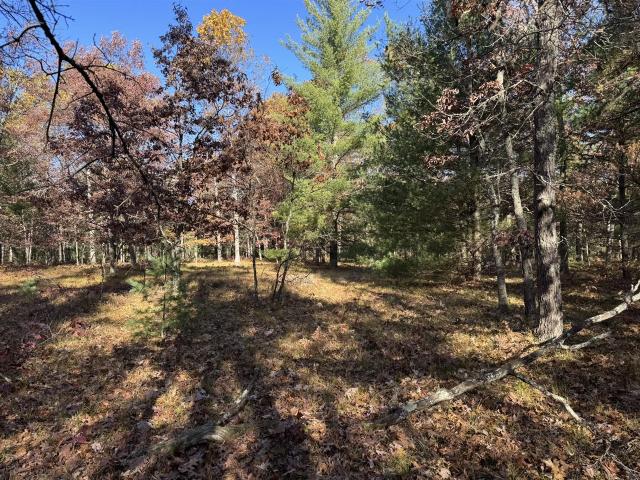 Land for sale in Michigan