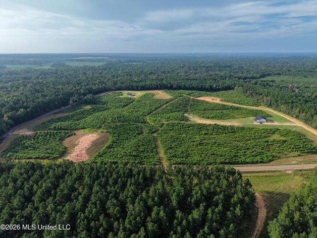 Land for sale in Liberty, Mississippi