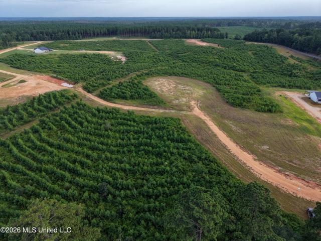 Land for sale in Liberty, Mississippi