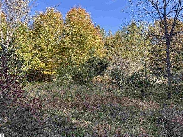 Land for sale in Maple City, Kasson Township