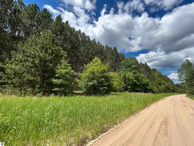 Land for sale in Custer Township, Antrim County