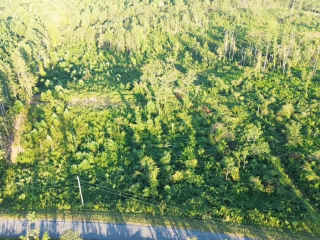 Land for sale in Alabama