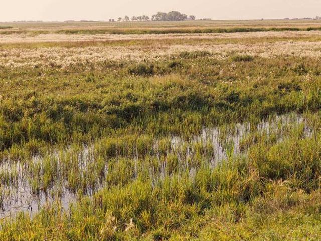 Land for sale in Alberta